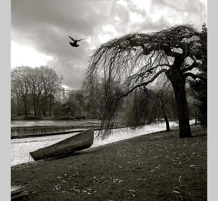 Black and white photograph of a park in London. Limited edition print. Title: Park, London, 1960s