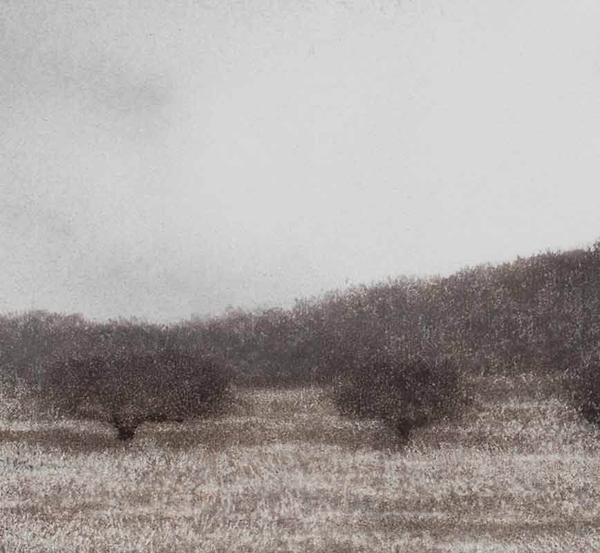 Detail of a Greek landscape painting. Olive trees in a field. Title: Olive Grove