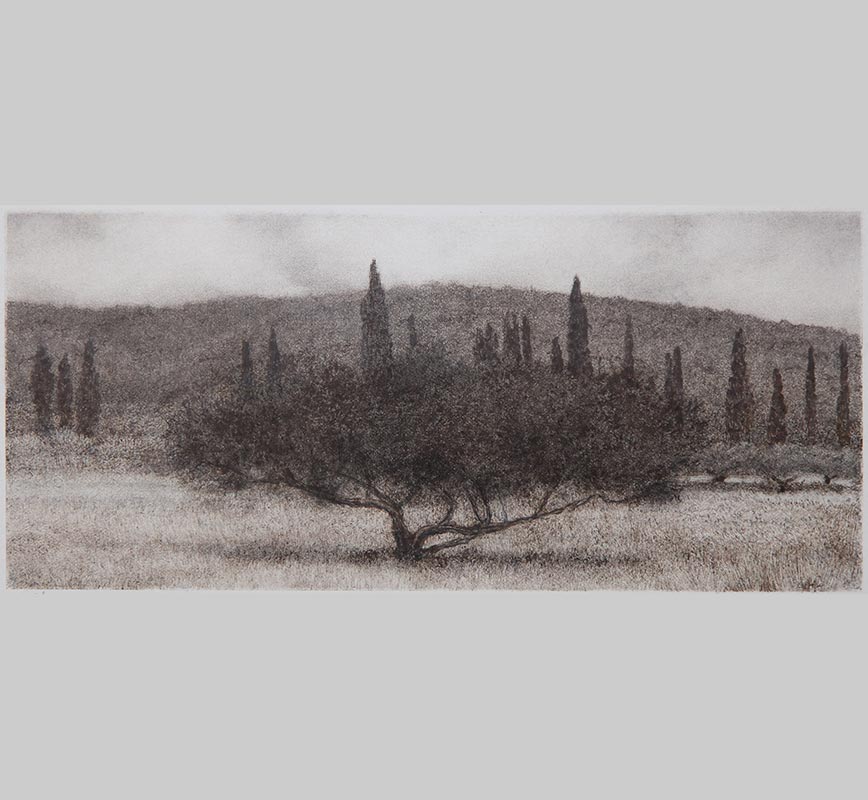 Greek landscape painting. Olive and cypress trees in a field. Title: Olive Tree in Field
