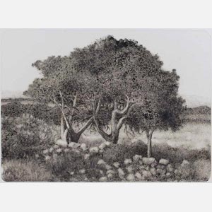 Greek landscape painting. Wild olive trees in a field. Title: Tree