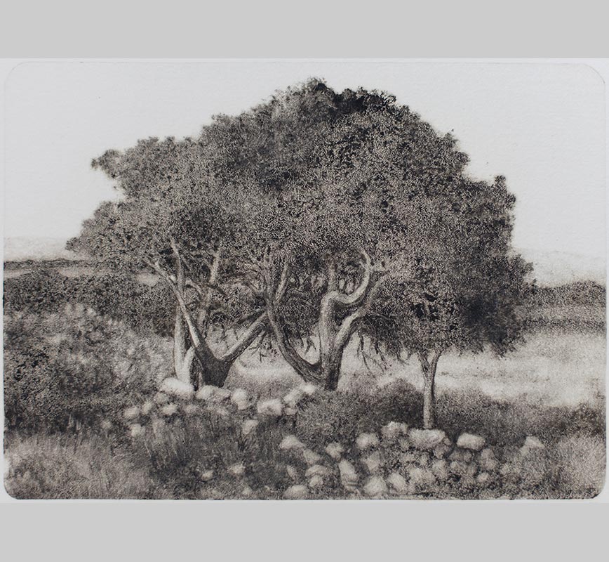 Greek landscape painting. Wild olive atrees in a field. Title: Tree