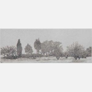 Greek landscape painting. Wild olive atrees in a field. Title: Trees in Mist