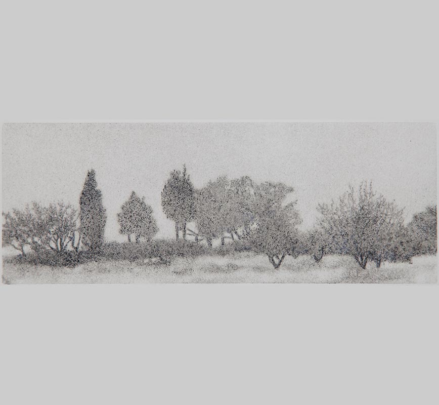 Greek landscape painting. Wild olive trees in a field. Title: Trees in Mist