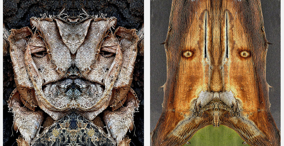 Two works from the Organic family of Enzo Ragazzini's Creature series: faces assembled from agave leaf and worn fabric through bilateral mirroring