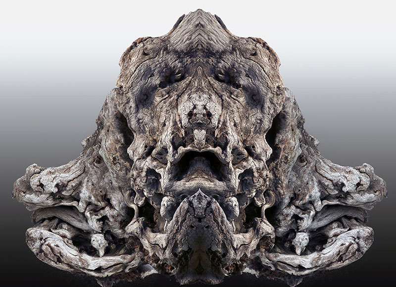 Enzo Ragazzini, the Cerberus driftwood piece from the island of Kythera that originated the Creature series in 2013