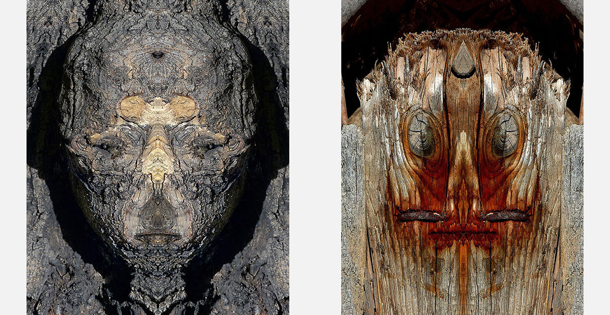 Two works from the Wood and Bark family of Enzo Ragazzini's Creature series: frontal watchful faces assembled from bark grain and growth patterns through bilateral mirroring