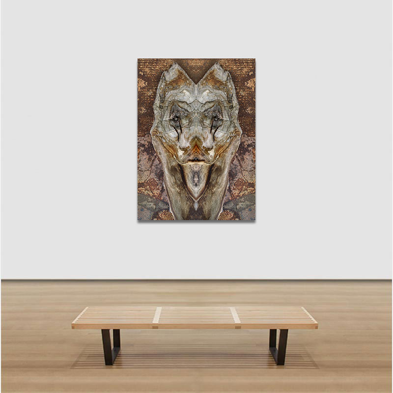 View in a room of Perceptual fine art photograph by Enzo Ragazzini from the Creature series: Creature - Agave VII (2014)