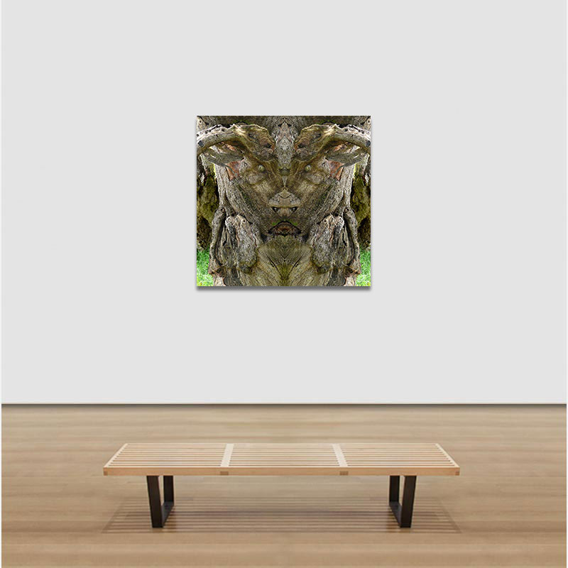 View in a room of Perceptual fine art photograph by Enzo Ragazzini from the Creature series: Creature - Wood XVI (2015)