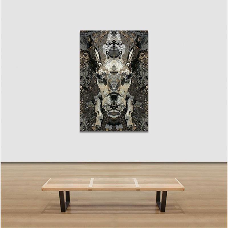 View in a room of Perceptual fine art photograph by Enzo Ragazzini from the Creature series: Creature - Metal V (2013)