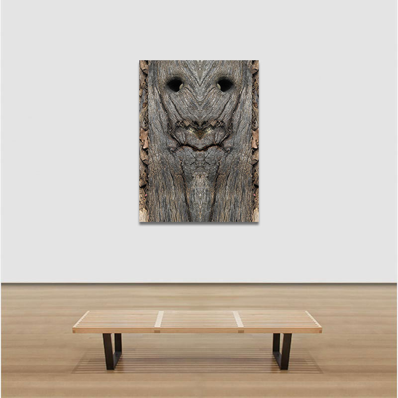 View in a room of Perceptual fine art photograph by Enzo Ragazzini from the Creature series: Creature - Wood X (2014)