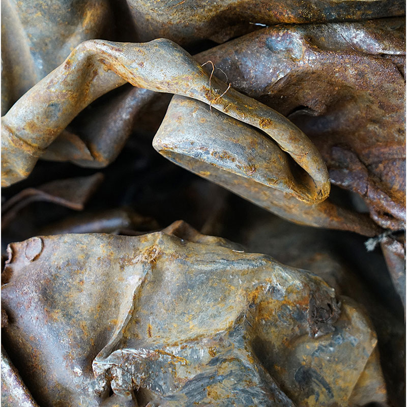 Detail of Perceptual fine art photograph by Enzo Ragazzini from the Creature series: Creature - Metal X (2014), surface texture and figural emergence