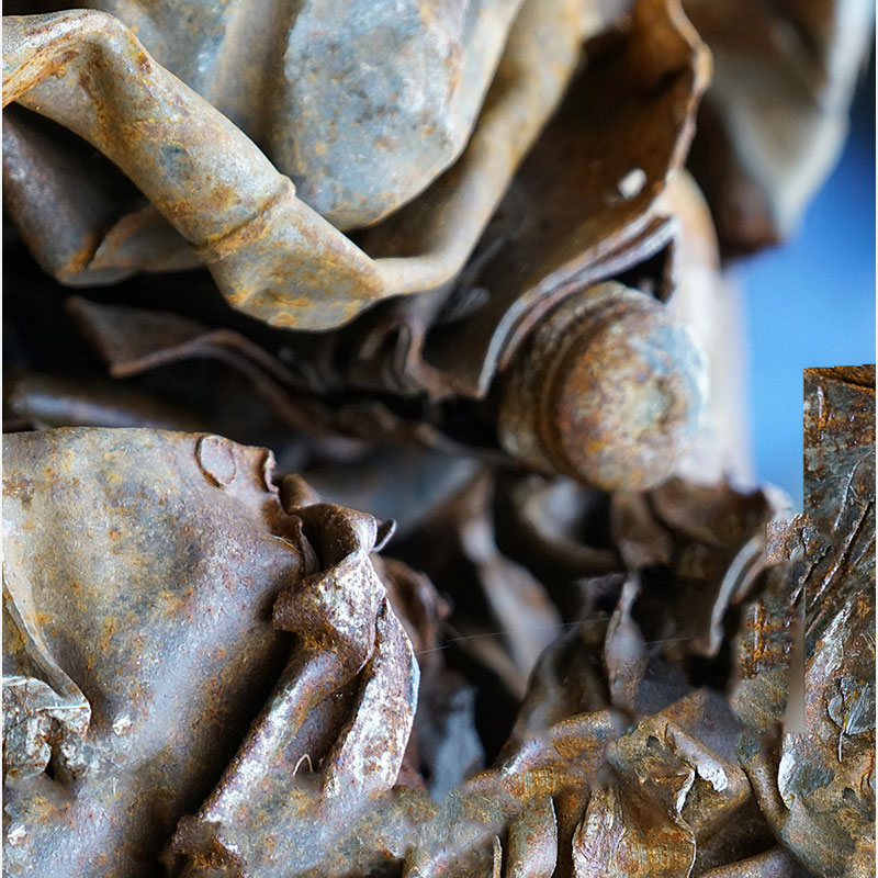 Detail of Perceptual fine art photograph by Enzo Ragazzini from the Creature series: Creature - Metal X (2014), material and chromatic elaboration