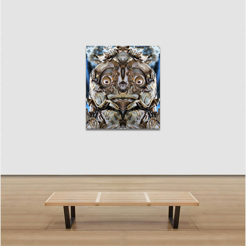 View in a room of Perceptual fine art photograph by Enzo Ragazzini from the Creature series: Creature - Metal X (2014)
