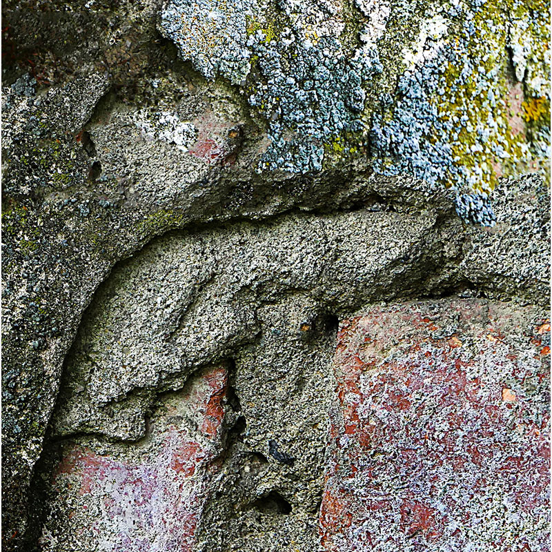 Detail of Perceptual fine art photograph by Enzo Ragazzini from the Creature series: Creature - Wall XII (2014), material and chromatic elaboration