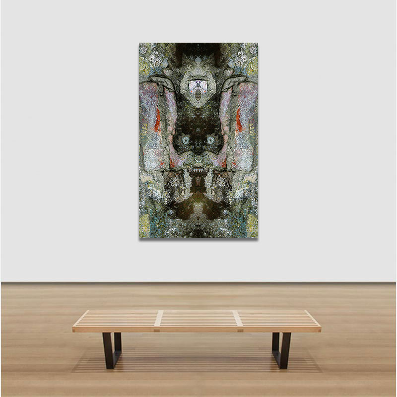 View in a room of Perceptual fine art photograph by Enzo Ragazzini from the Creature series: Creature - Wall XII (2014)
