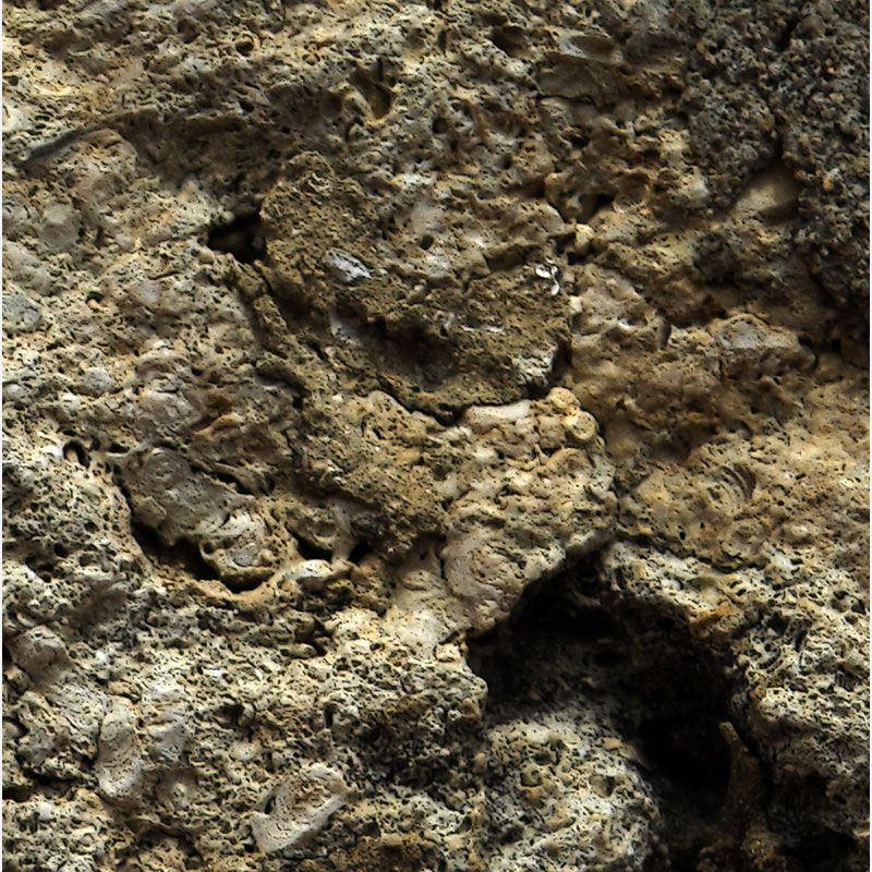 Detail of Perceptual fine art photograph by Enzo Ragazzini from the Creature series: Creature - Stone IV (2012), material and chromatic elaboration