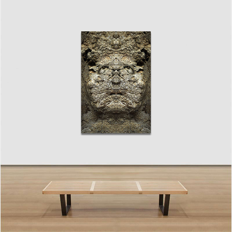View in a room of Perceptual fine art photograph by Enzo Ragazzini from the Creature series: Creature - Stone IV (2012)