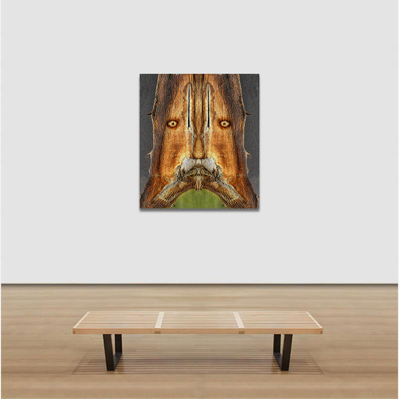View in a room of Perceptual fine art photograph by Enzo Ragazzini from the Creature series: Creature - Agave II (2015)
