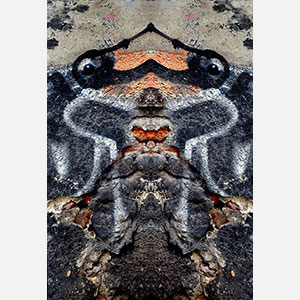 Perceptual fine art photograph by Enzo Ragazzini in which a cracked wall layered with graffiti remnants becomes through mirroring a mask-like presence hovering between menace and fragility. Mainly black, orange, rust-red colors. Title: Creature - Wall VII. Link to the artwork's dedicated page featuring high-resolution detailed images, full info, and an in-depth analysis of its artistic significance.
