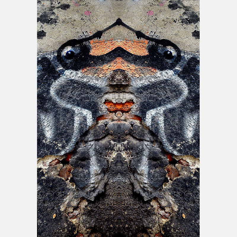 Perceptual fine art photograph by Enzo Ragazzini from the Creature series: Creature - Wall VII (2013), a mirrored surface activating pareidolia