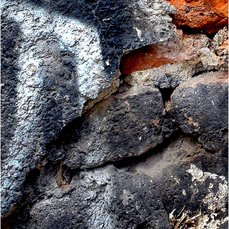Detail of Perceptual fine art photograph by Enzo Ragazzini from the Creature series: Creature - Wall VII (2013), surface texture and figural emergence