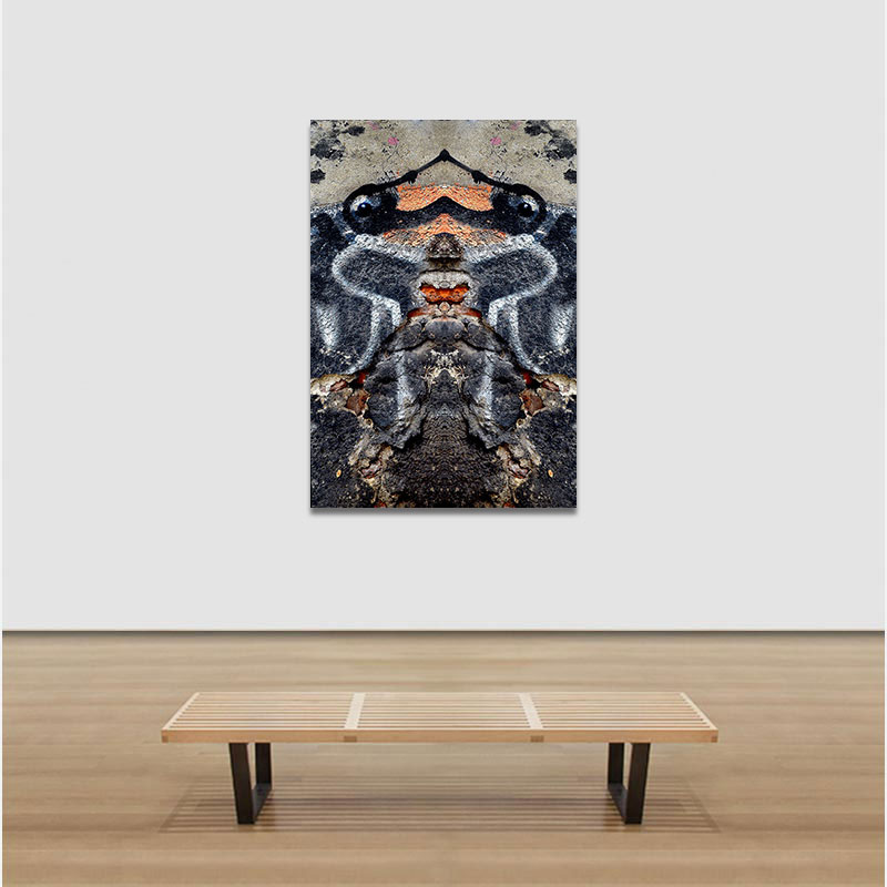 View in a room of Perceptual fine art photograph by Enzo Ragazzini from the Creature series: Creature - Wall VII (2013)