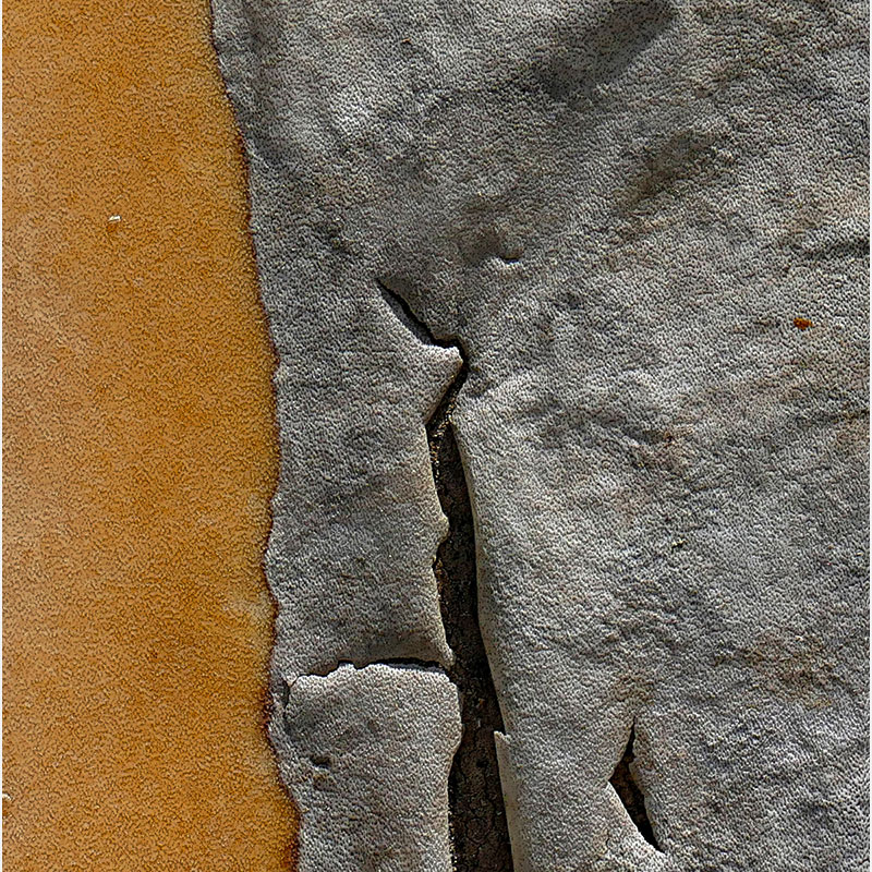 Detail of Perceptual fine art photograph by Enzo Ragazzini from the Creature series: Creature - Agave VIII (2014), surface texture and figural emergence