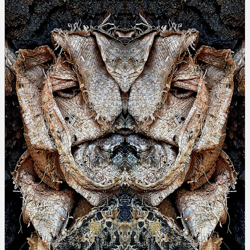 Perceptual fine art photograph by Enzo Ragazzini from the Creature series: Creature - Fabric I (2014), a mirrored surface activating pareidolia