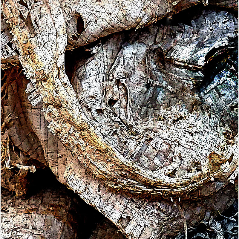Detail of Perceptual fine art photograph by Enzo Ragazzini from the Creature series: Creature - Fabric I (2014), surface texture and figural emergence