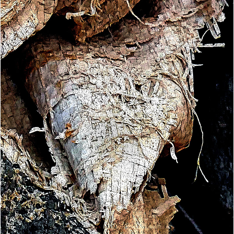 Detail of Perceptual fine art photograph by Enzo Ragazzini from the Creature series: Creature - Fabric I (2014), material and chromatic elaboration