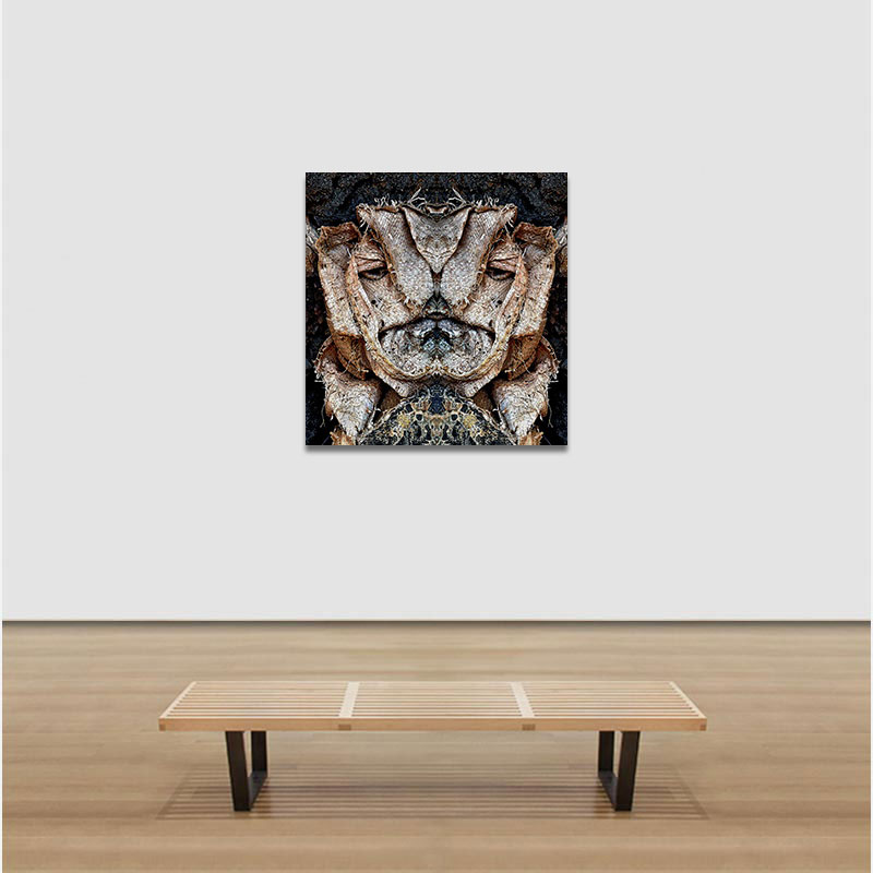 View in a room of Perceptual fine art photograph by Enzo Ragazzini from the Creature series: Creature - Fabric I (2014)