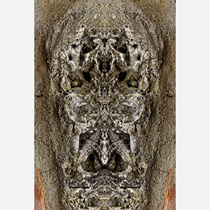 Perceptual fine art photograph by Enzo Ragazzini in which a dense mineral stone surface yields through mirroring a heavy-browed face with the gravity of something ancient. Mainly mineral gray, ochre, pale white colors. Title: Creature - Stone V. Link to the artwork's dedicated page featuring high-resolution detailed images, full info, and an in-depth analysis of its artistic significance.