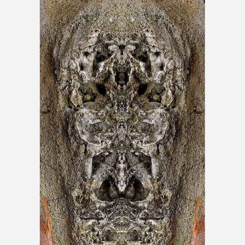 Perceptual fine art photograph by Enzo Ragazzini from the Creature series: Creature - Stone V (2012), a mirrored surface activating pareidolia