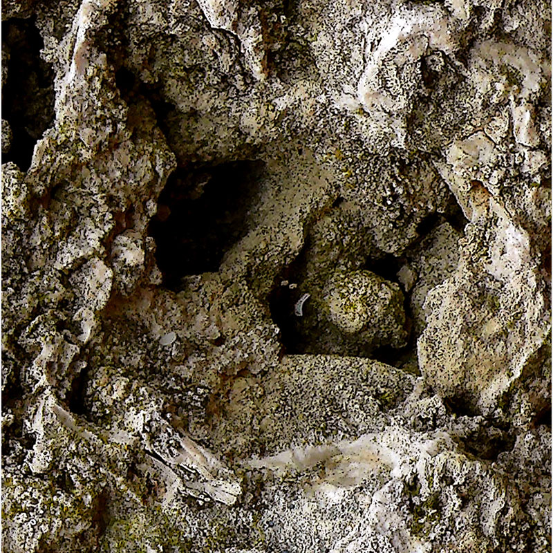 Detail of Perceptual fine art photograph by Enzo Ragazzini from the Creature series: Creature - Stone V (2012), a mirrored surface activating pareidolia