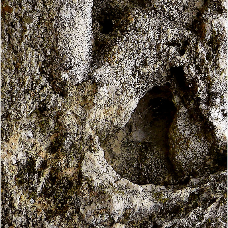 Detail of Perceptual fine art photograph by Enzo Ragazzini from the Creature series: Creature - Stone V (2012), surface texture and figural emergence