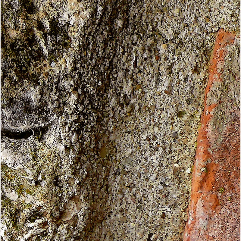 Detail of Perceptual fine art photograph by Enzo Ragazzini from the Creature series: Creature - Stone V (2012), material and chromatic elaboration
