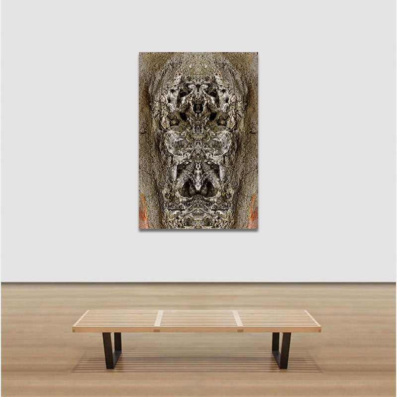 View in a room of Perceptual fine art photograph by Enzo Ragazzini from the Creature series: Creature - Stone V (2012)