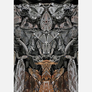 Perceptual fine art photograph by Enzo Ragazzini in which compressed scrap metal crumpled and rusted yields through mirroring a mechanical mythological figure of considerable force. Mainly glinting metallic, dusky corrosion colors. Title: Creature - Metal VI. Link to the artwork's dedicated page featuring high-resolution detailed images, full info, and an in-depth analysis of its artistic significance.