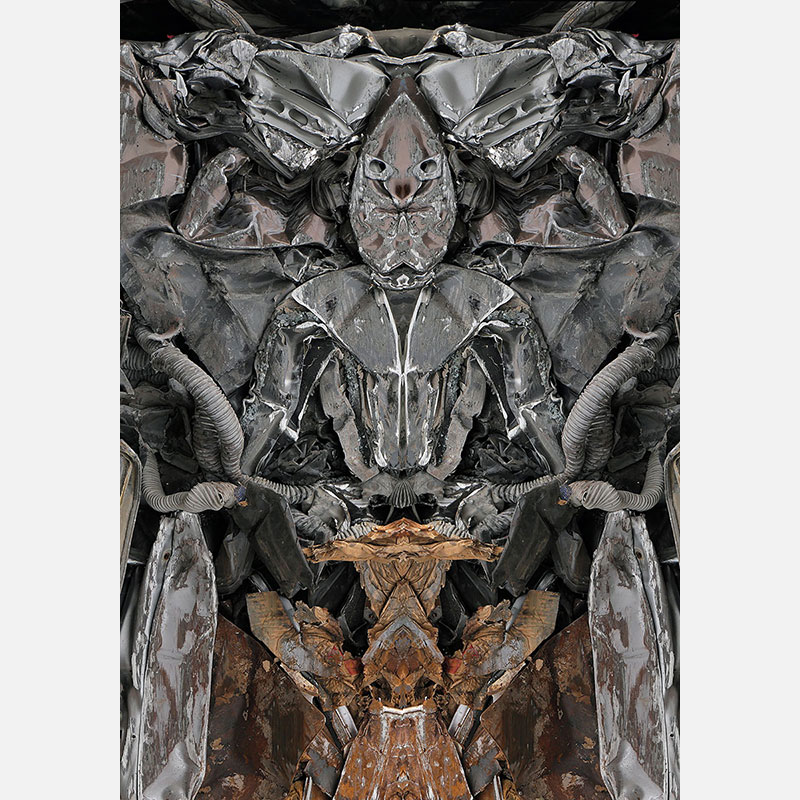 Perceptual fine art photograph by Enzo Ragazzini from the Creature series: Creature - Metal VI (2014), a mirrored surface activating pareidolia