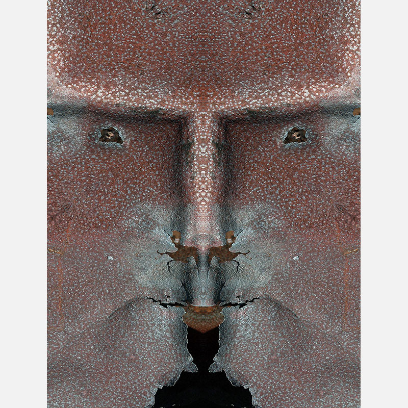 Perceptual fine art photograph by Enzo Ragazzini from the Creature series: Creature - Metal III (2013), a mirrored surface activating pareidolia