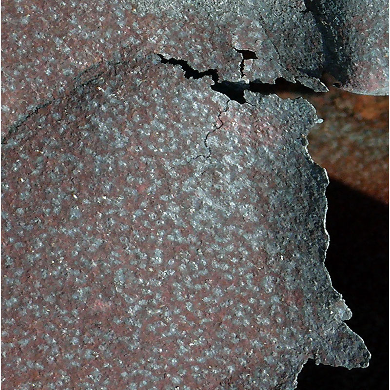 Detail of Perceptual fine art photograph by Enzo Ragazzini from the Creature series: Creature - Metal III (2013), surface texture and figural emergence