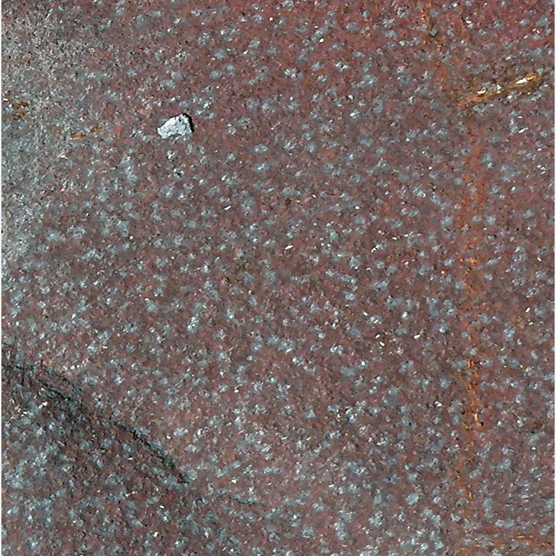 Detail of Perceptual fine art photograph by Enzo Ragazzini from the Creature series: Creature - Metal III (2013), material and chromatic elaboration