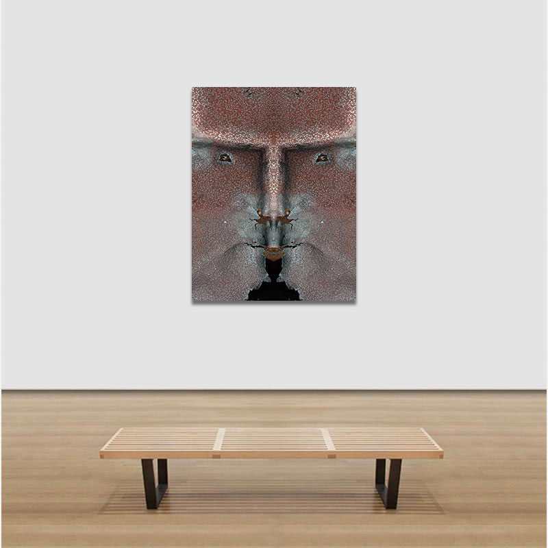 View in a room of Perceptual fine art photograph by Enzo Ragazzini from the Creature series: Creature - Metal III (2013)
