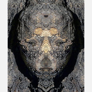 Perceptual fine art photograph by Enzo Ragazzini in which the dark close surface of tree bark yields through mirroring a frontal ancient watchful face belonging to the tree itself. Mainly deep brown, black colors. Title: Creature - Wood VII. Link to the artwork's dedicated page featuring high-resolution detailed images, full info, and an in-depth analysis of its artistic significance.