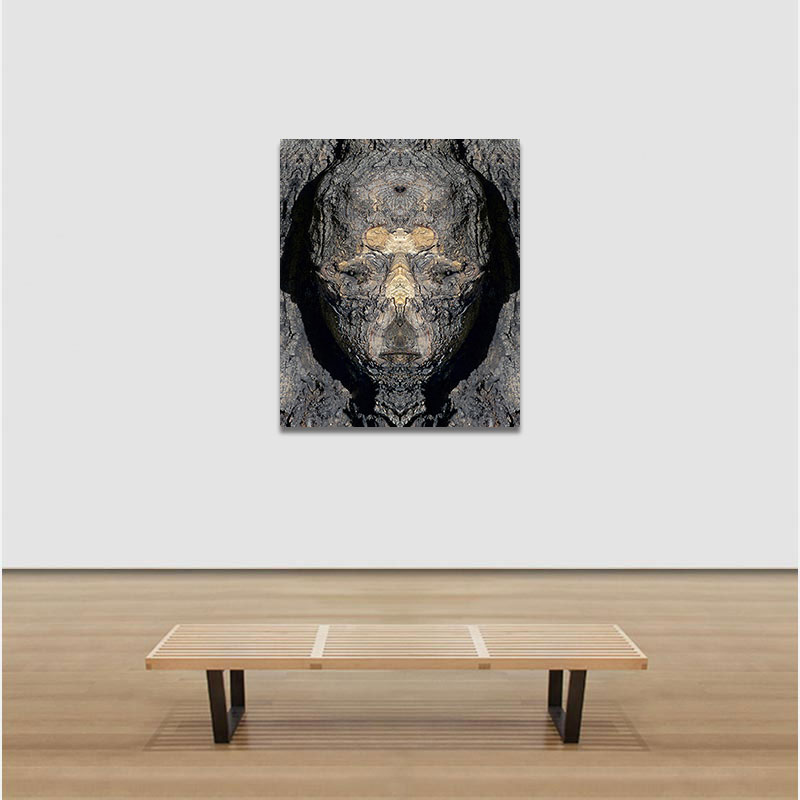 View in a room of Perceptual fine art photograph by Enzo Ragazzini from the Creature series: Creature - Wood VII (2014)