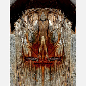 Perceptual fine art photograph by Enzo Ragazzini in which a weathered plank with wood knots as eyes and a rusted nail sealing the mouth yields a hieratic frontal presence. Mainly silver-gray, weathered wood, rust colors. Title: Creature - Wood IX. Link to the artwork's dedicated page featuring high-resolution detailed images, full info, and an in-depth analysis of its artistic significance.