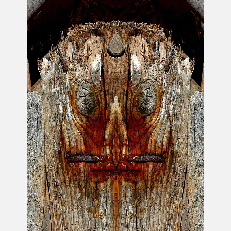 Perceptual fine art photograph by Enzo Ragazzini from the Creature series: Creature - Wood IX (2014), a mirrored surface activating pareidolia