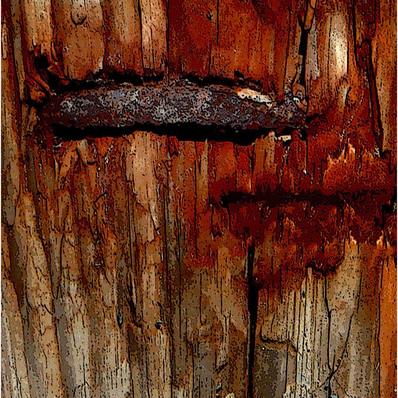 Detail of Perceptual fine art photograph by Enzo Ragazzini from the Creature series: Creature - Wood IX (2014), surface texture and figural emergence
