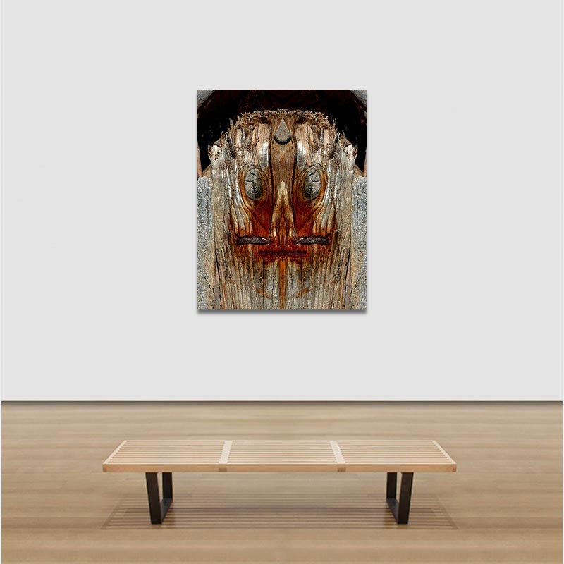 View in a room of Perceptual fine art photograph by Enzo Ragazzini from the Creature series: Creature - Wood IX (2014)