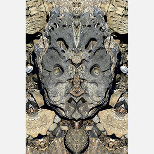 Perceptual fine art photograph by Enzo Ragazzini in which a stone surface of hollows ridges and cracks coheres suddenly through mirroring into a heavy-browed ancient face. Mainly ochre, mineral gray, pale beige colors. Title: Creature - Stone VI. Link to the artwork's dedicated page featuring high-resolution detailed images, full info, and an in-depth analysis of its artistic significance.